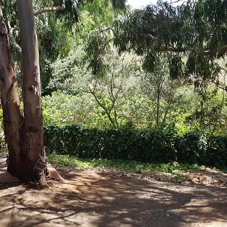 בית נופש Artist